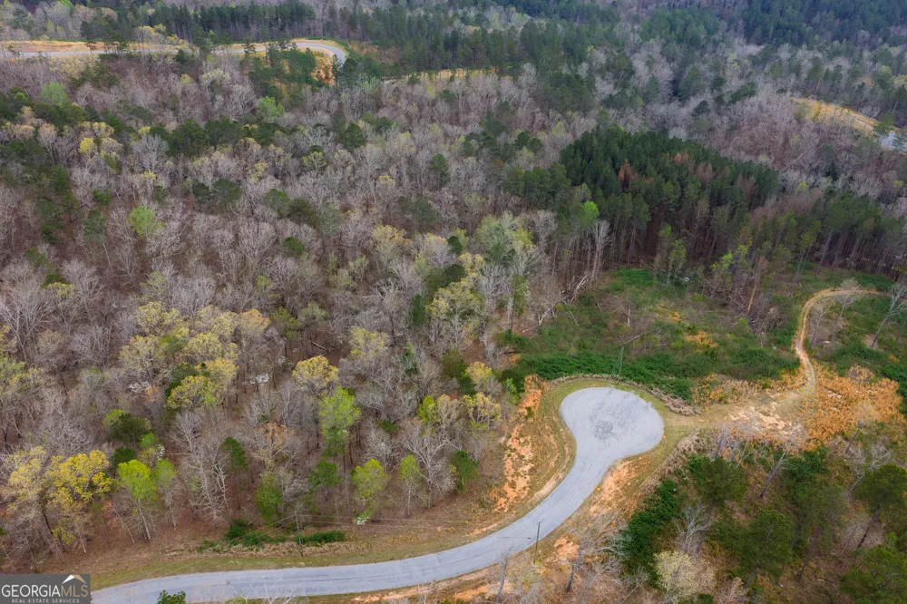 LOT 43 Bucktail WAY Talking Rock, GA 30175