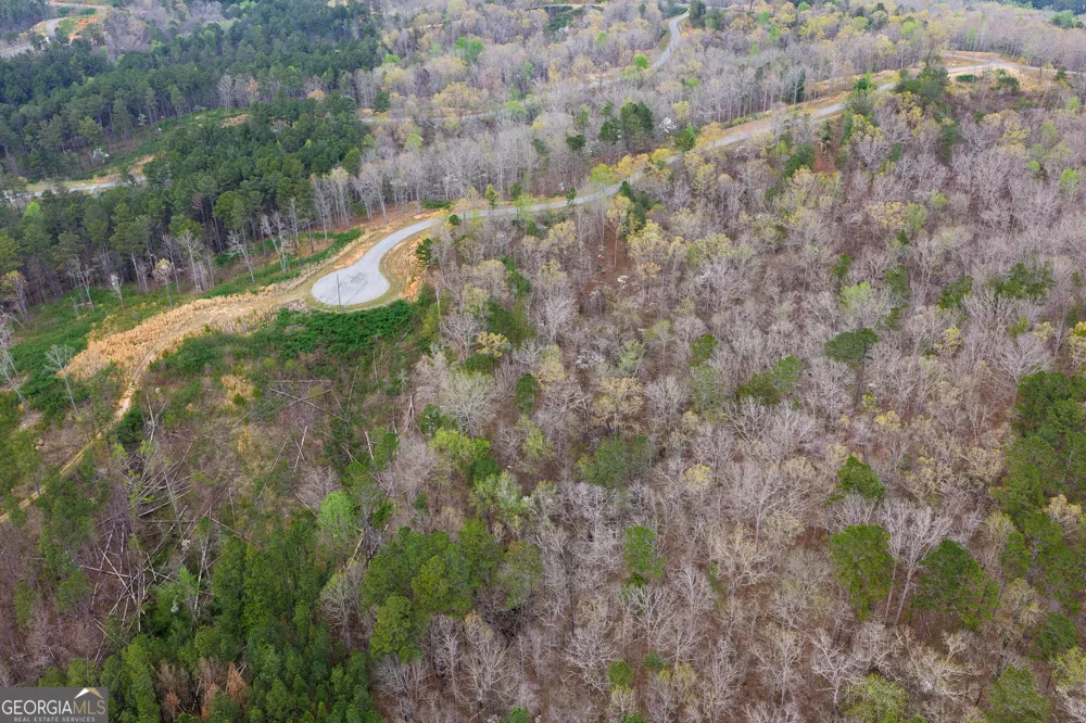 LOT 43 Bucktail WAY Talking Rock, GA 30175