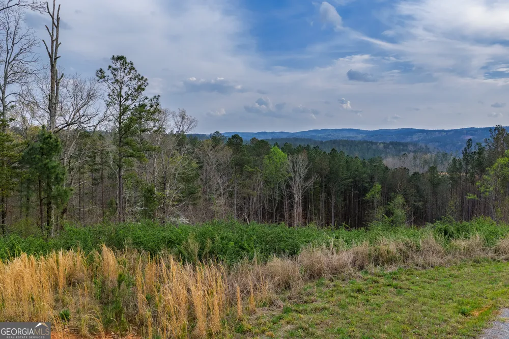 LOT 43 Bucktail WAY Talking Rock, GA 30175