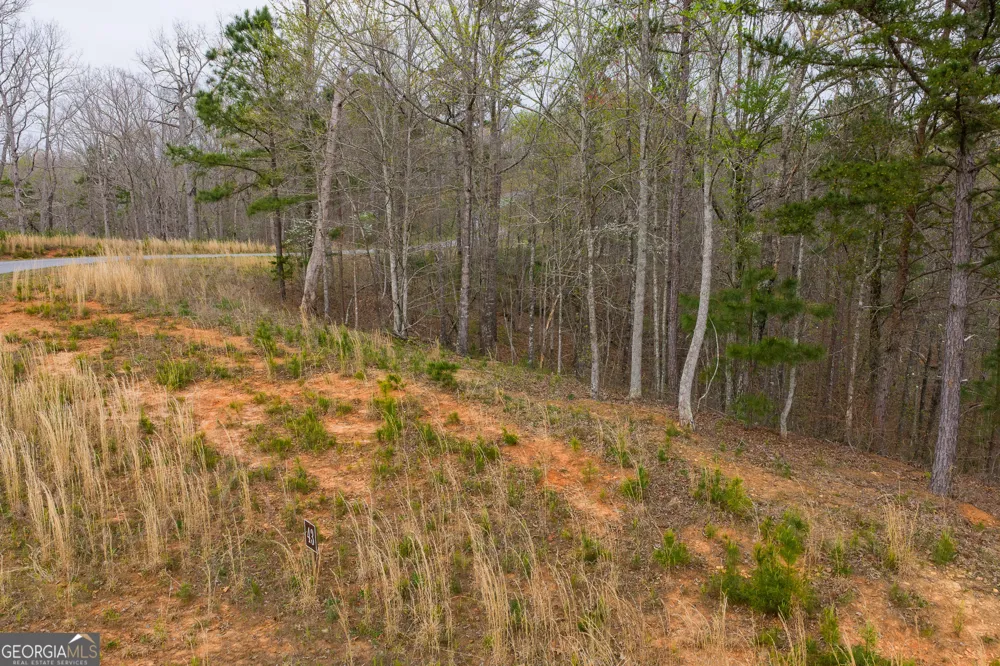 LOT 43 Bucktail WAY Talking Rock, GA 30175