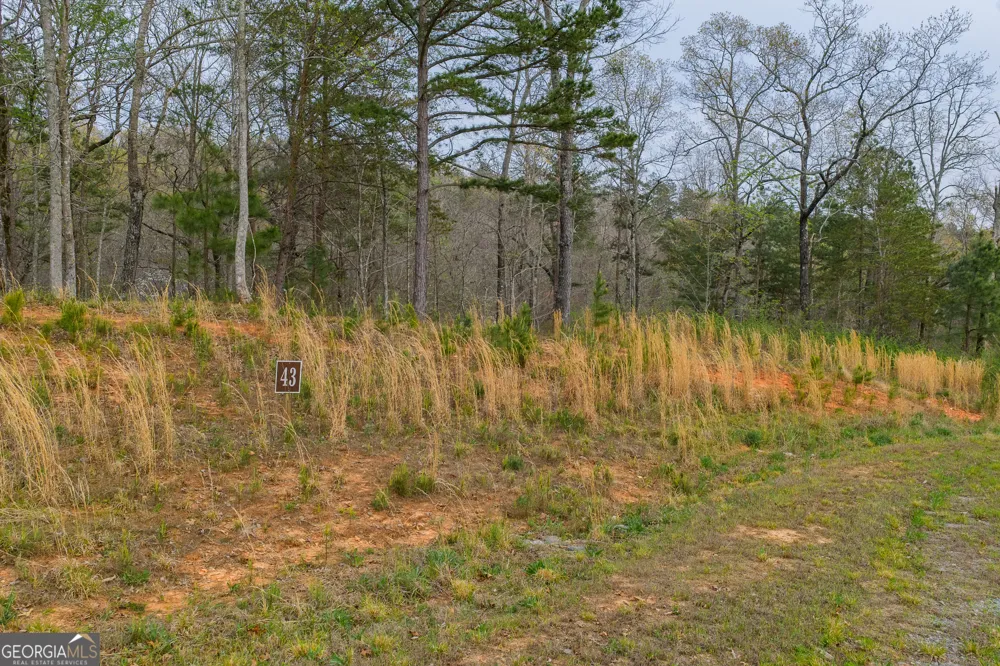 LOT 43 Bucktail WAY Talking Rock, GA 30175