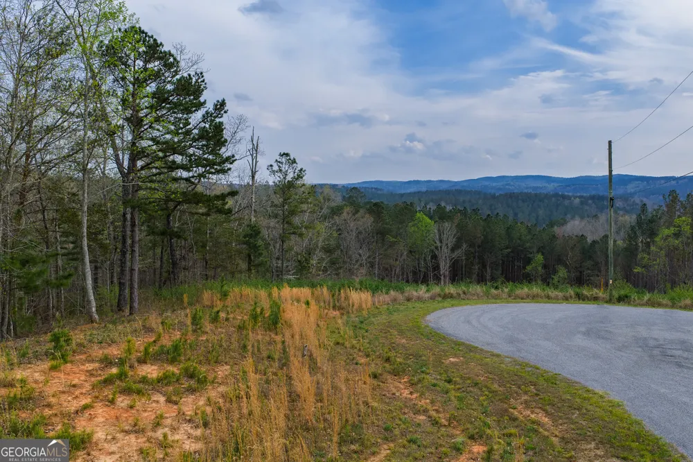 LOT 43 Bucktail WAY Talking Rock, GA 30175