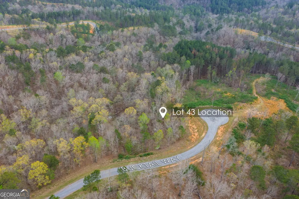 LOT 43 Bucktail WAY Talking Rock, GA 30175
