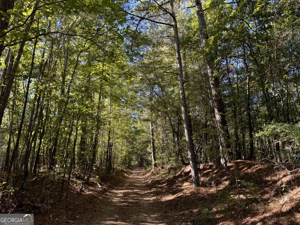 30 AC W ellis Griffin, GA 30223