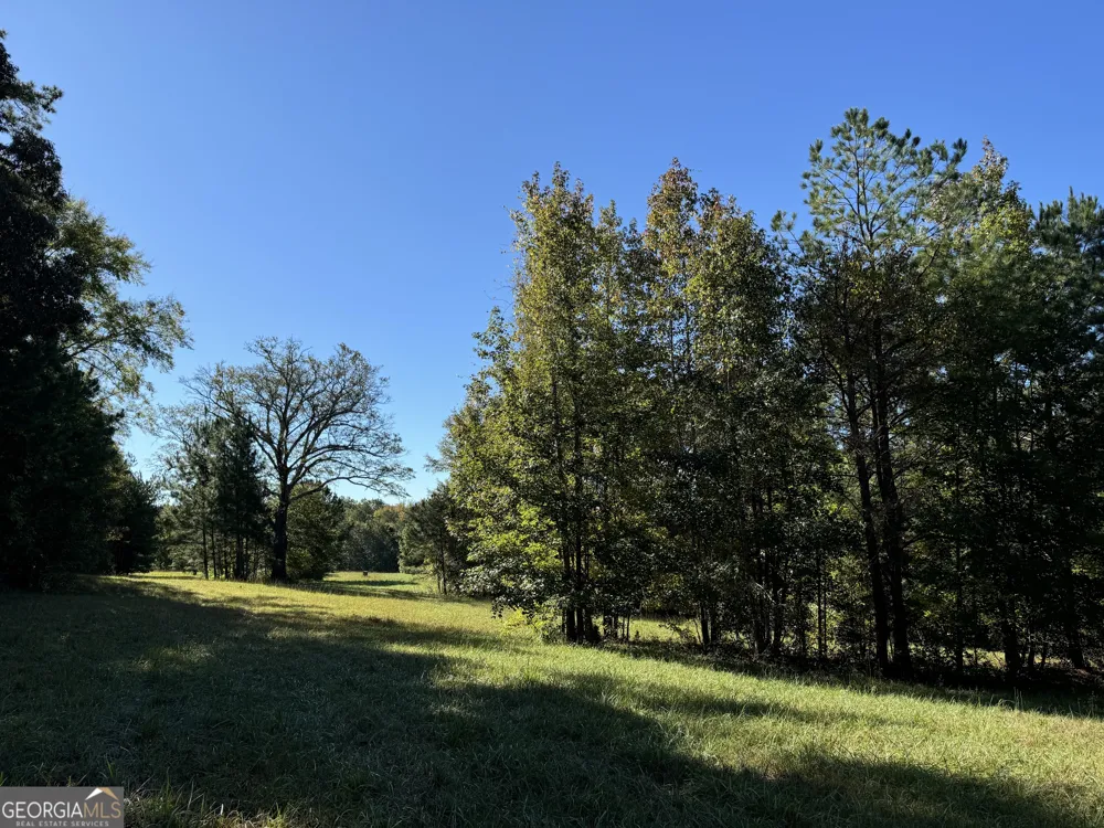 30 AC W ellis Griffin, GA 30223