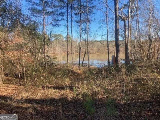 LOT 11 Anchor Pointe DR Eatonton, GA 31024