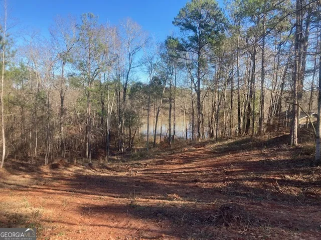 LOT 11 Anchor Pointe DR Eatonton, GA 31024