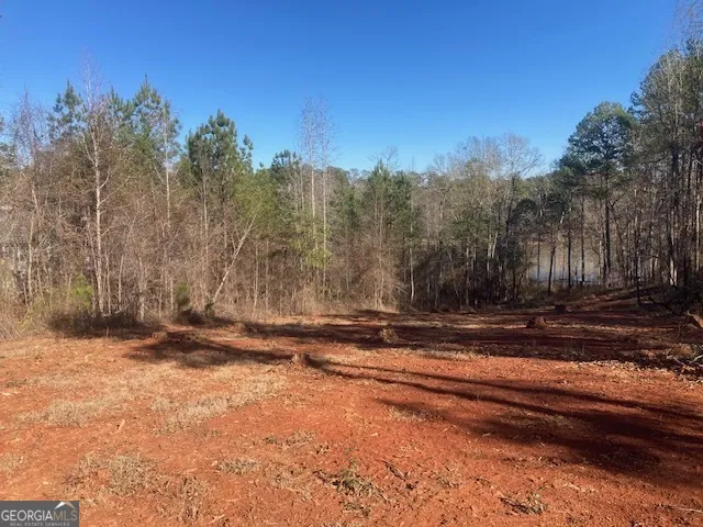 LOT 11 Anchor Pointe DR Eatonton, GA 31024