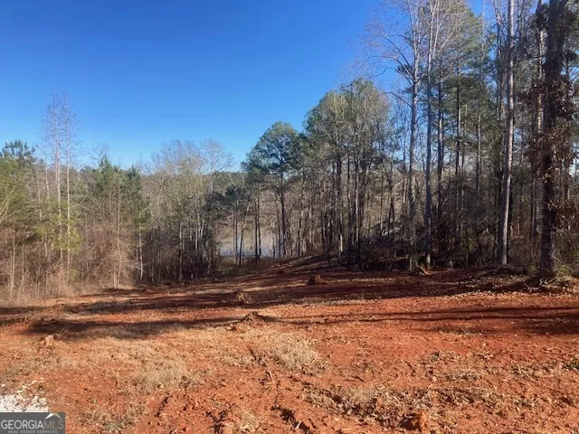 LOT 11 Anchor Pointe DR Eatonton, GA 31024
