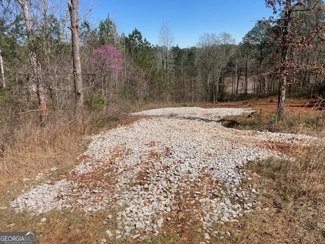 LOT 11 Anchor Pointe DR Eatonton, GA 31024