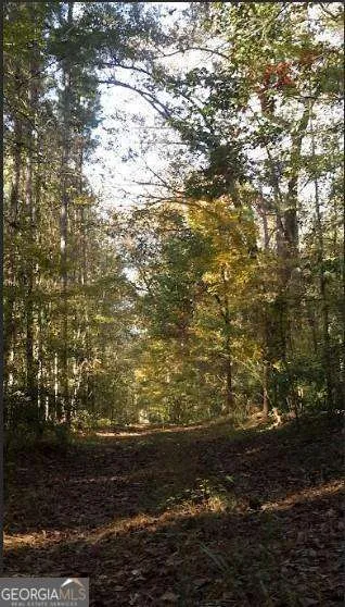 1047 Ponder Trammell RD Juliette, GA 31046