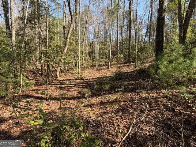 0 Black Falls RD Dahlonega, GA 30533