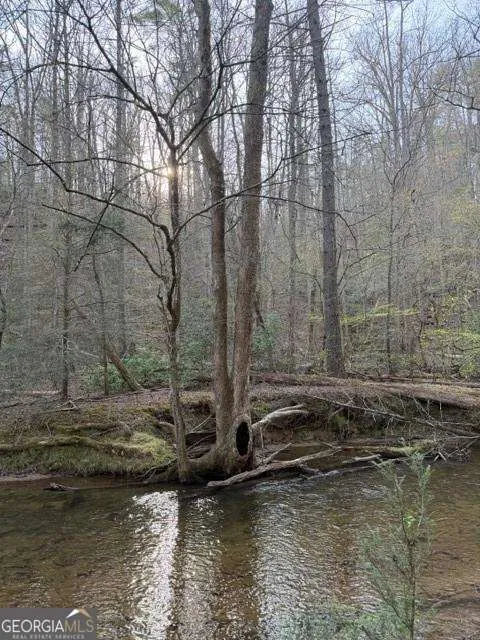 0 Black Falls RD Dahlonega, GA 30533