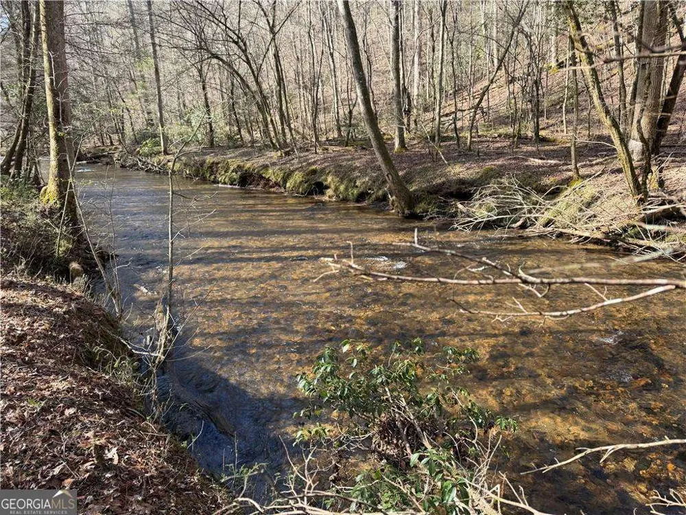 0 Black Falls RD Dahlonega, GA 30533