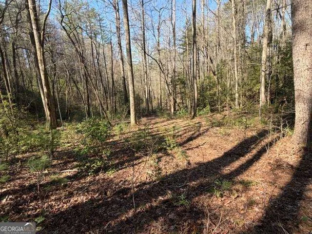 0 Black Falls RD Dahlonega, GA 30533