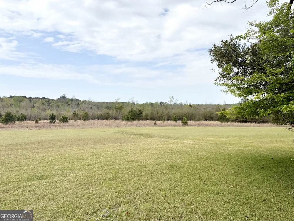2235 Long Branch RD Toomsboro, GA 31090
