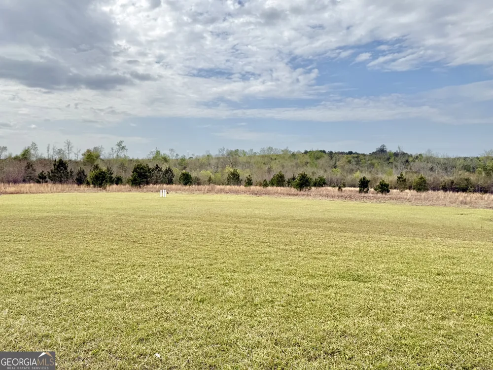 2235 Long Branch RD Toomsboro, GA 31090