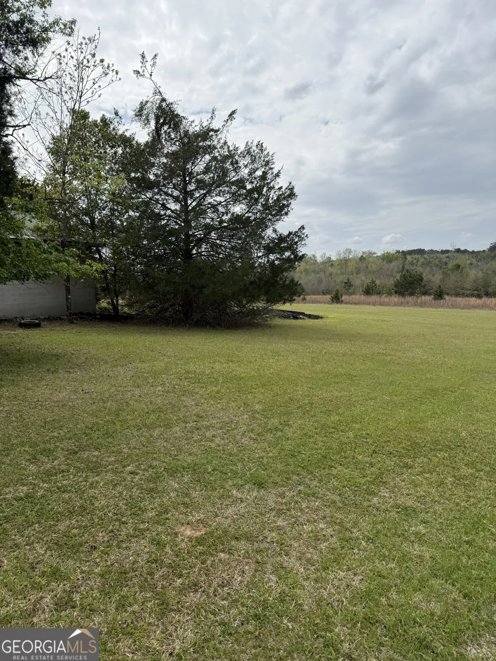 2235 Long Branch RD Toomsboro, GA 31090