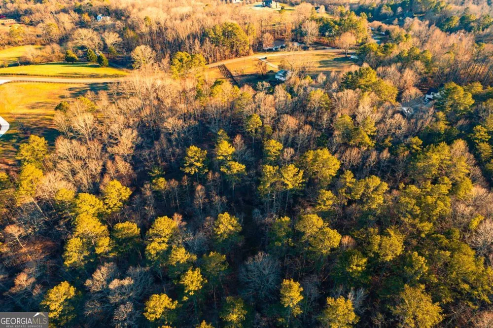 873 Long RD Ball Ground, GA 30107