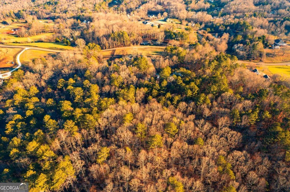 873 Long RD Ball Ground, GA 30107