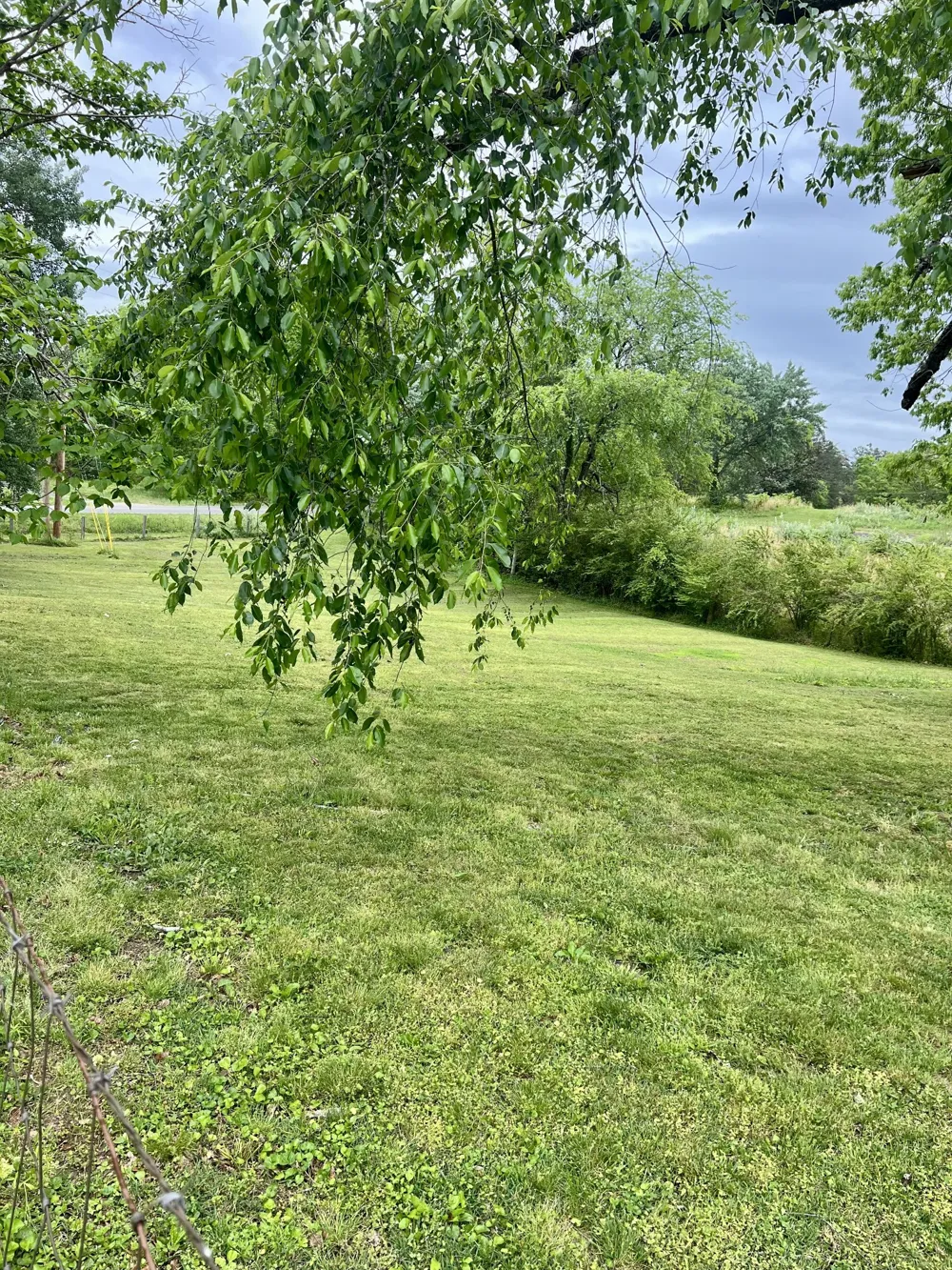 7526 Johnny Crow Rd Lyles, TN 37098