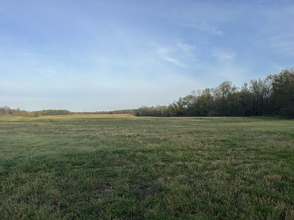 168 Fleming Rd Portland, TN 37148
