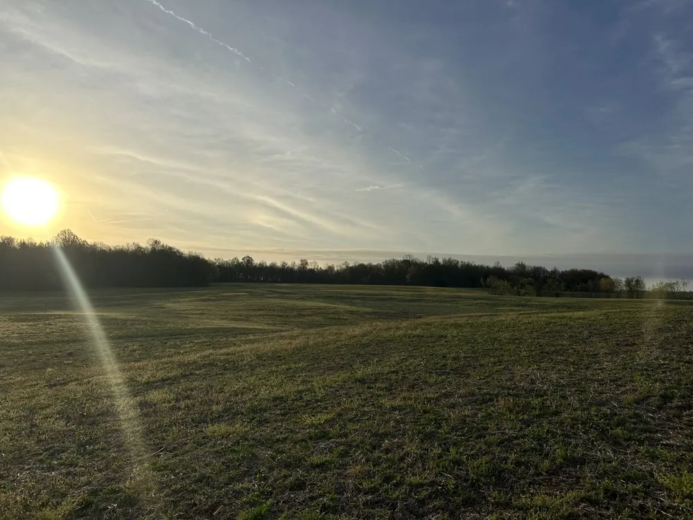 168 Fleming Rd Portland, TN 37148