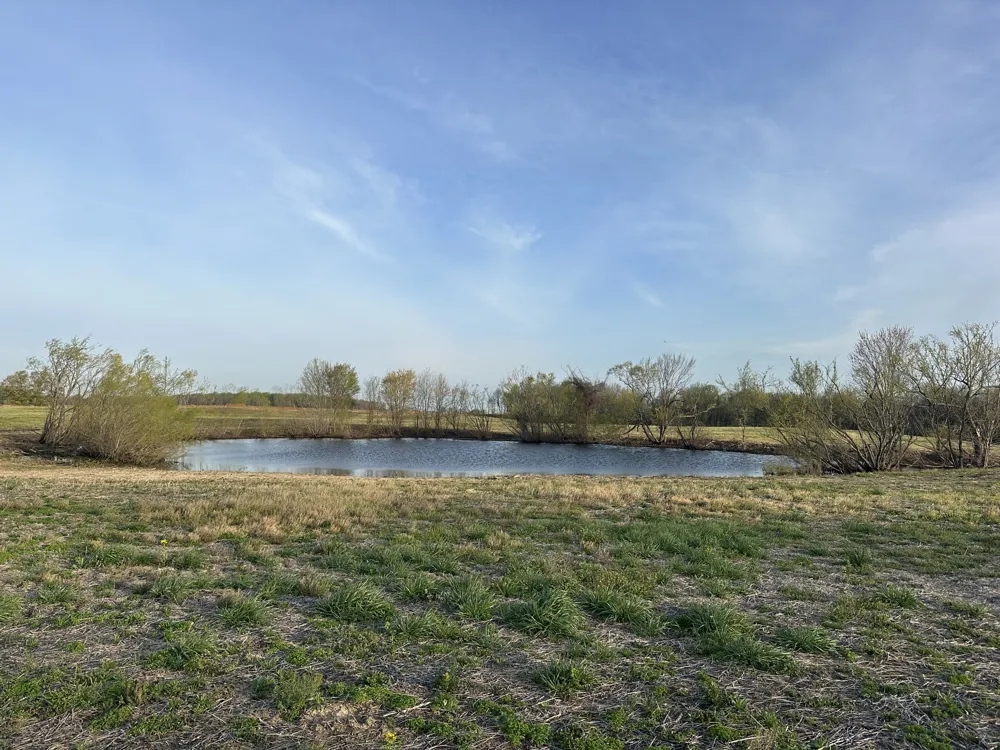 168 Fleming Rd Portland, TN 37148
