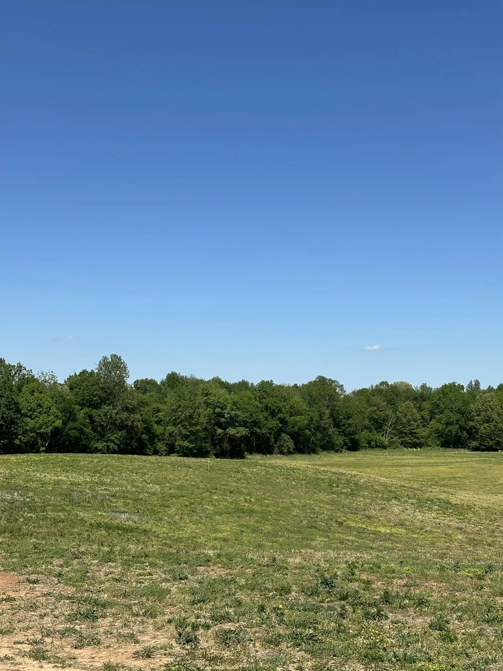 160 Fleming Rd Portland, TN 37148