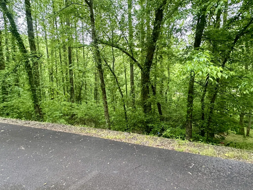 0 Baymont Dr Lancaster, TN 38569