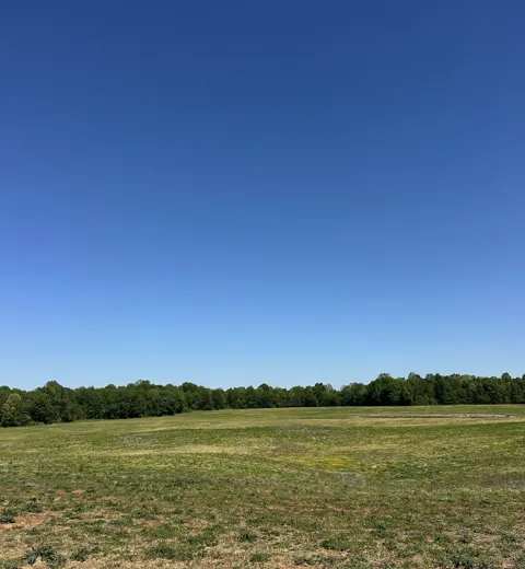 2161 Highway 259