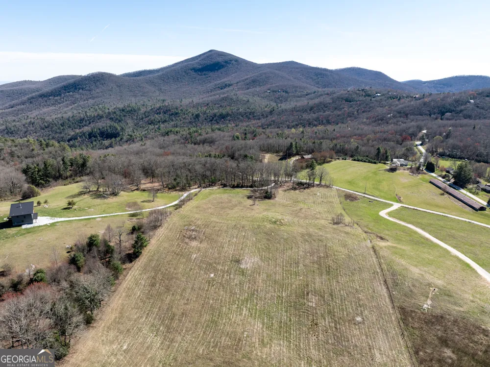 10384 Hale Ridge DR Dillard, GA 30537