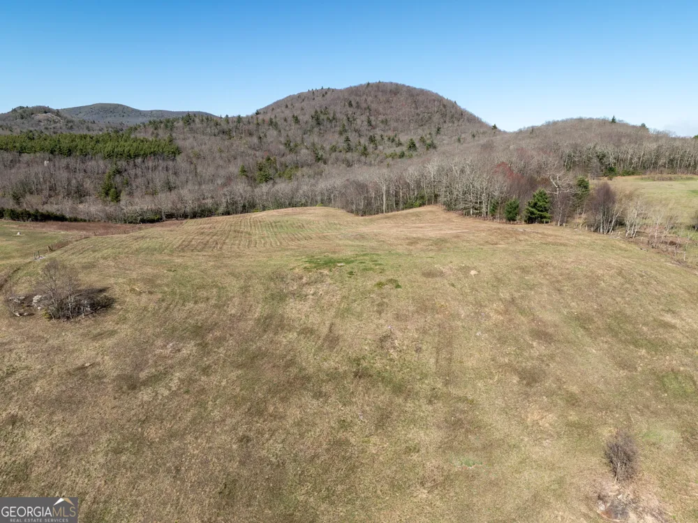 10384 Hale Ridge DR Dillard, GA 30537