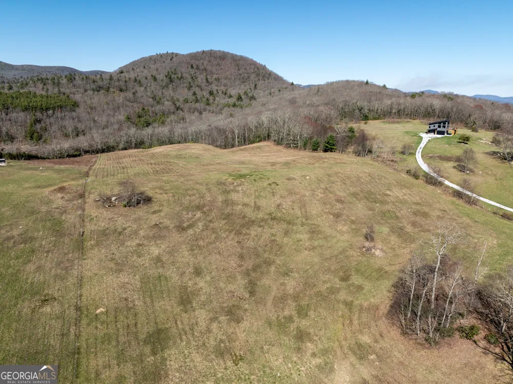 10384 Hale Ridge DR Dillard, GA 30537