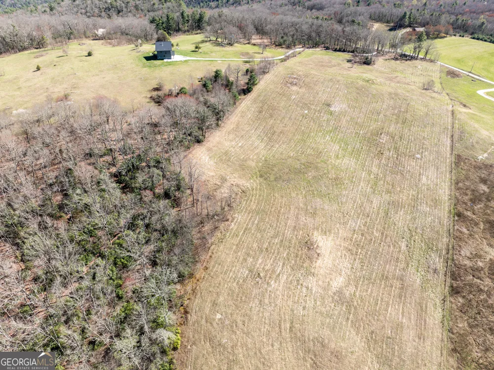 10384 Hale Ridge DR Dillard, GA 30537