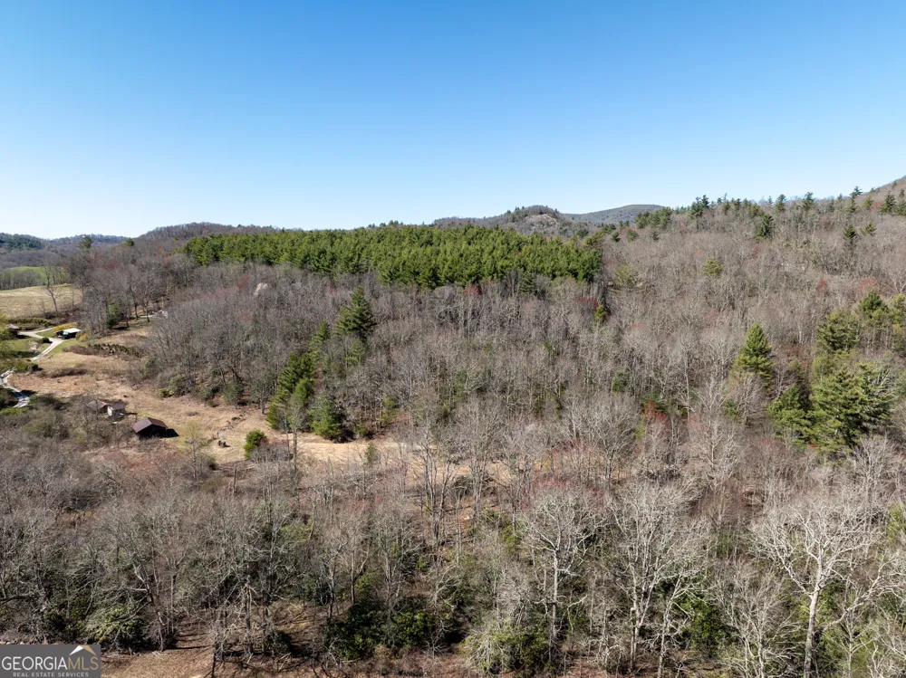 10384 Hale Ridge DR Dillard, GA 30537