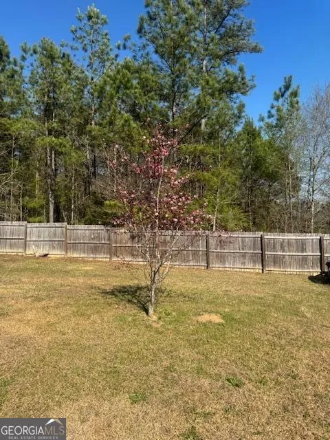 134 Delenn DR Lizella, GA 31052