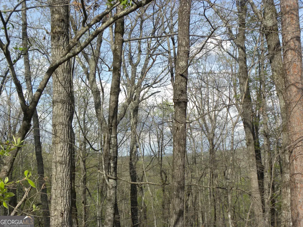 LOT 25 Planters Knoll Baldwin, GA 30511