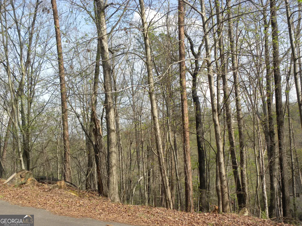 LOT 25 Planters Knoll Baldwin, GA 30511