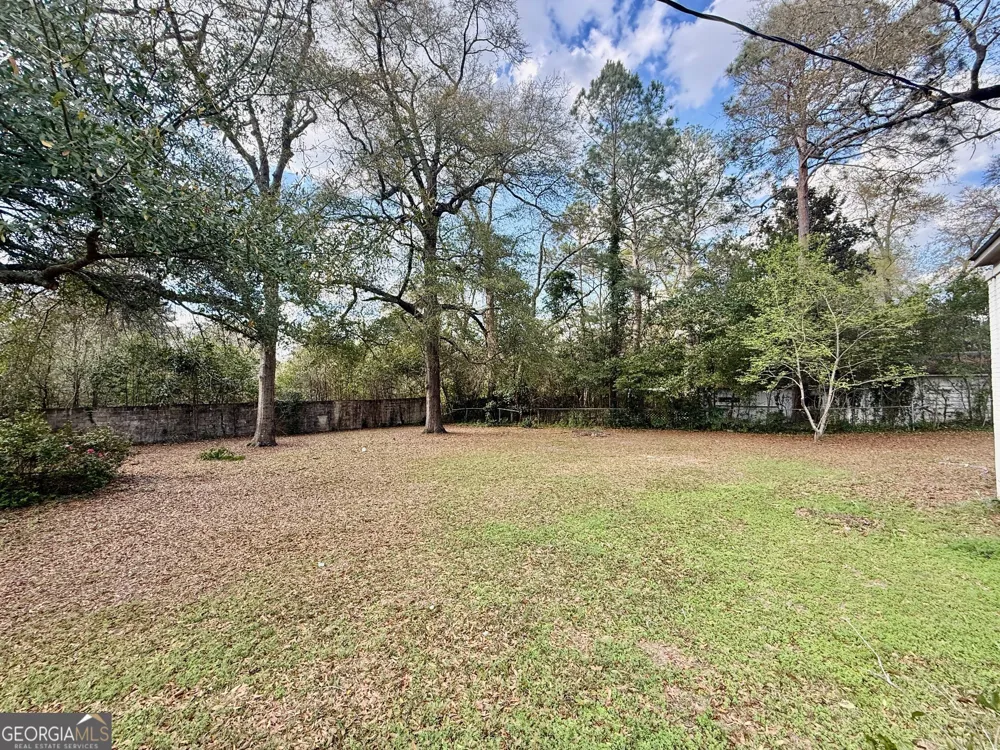 515 Engram ST Montezuma, GA 31063