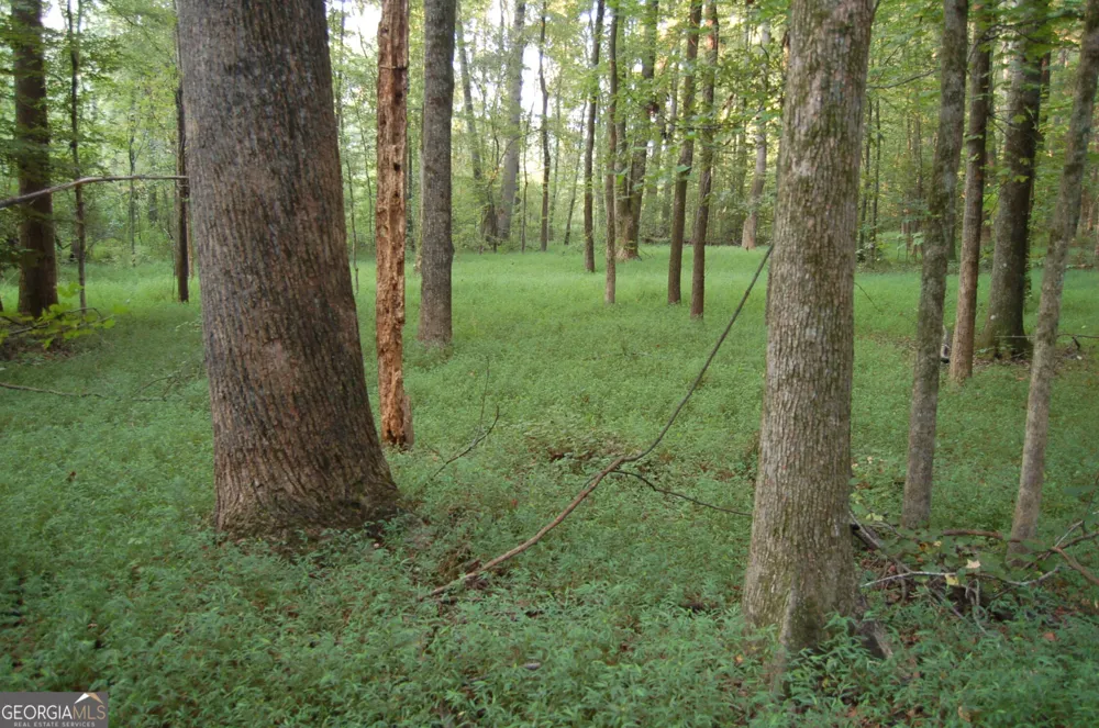 429 Frank Kelley RD Canon, GA 30520