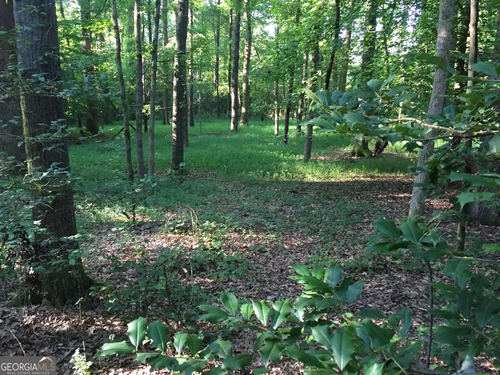 429 Frank Kelley RD Canon, GA 30520