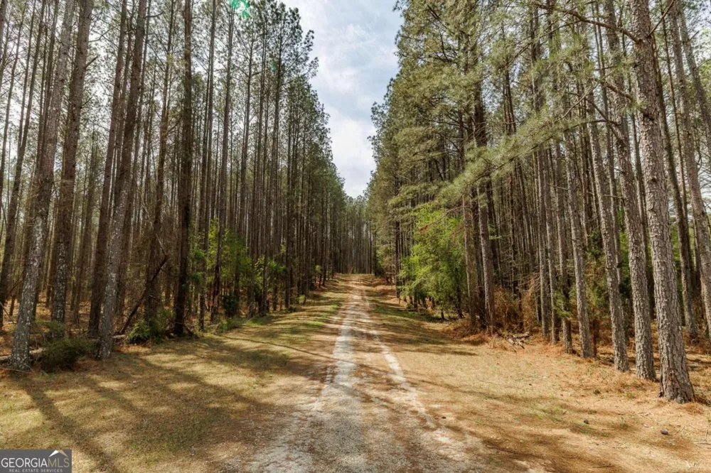 2970 Davids Home Church RD Comer, GA 30629