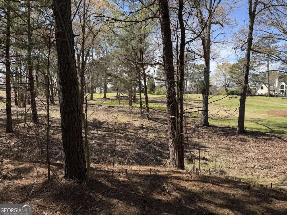 1894 Sam Snead DR Braselton, GA 30517