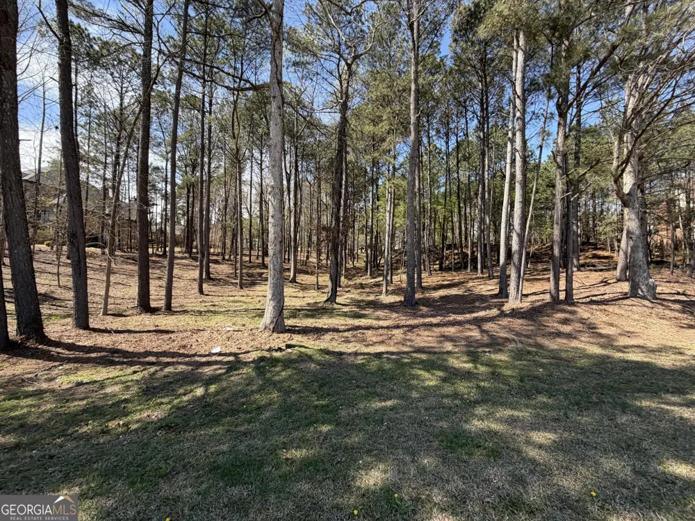 1894 Sam Snead DR Braselton, GA 30517