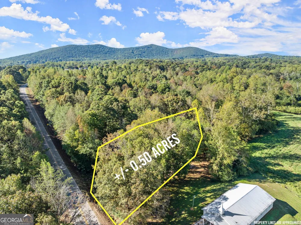 0 Ray Palmer RD Cleveland, GA 30528