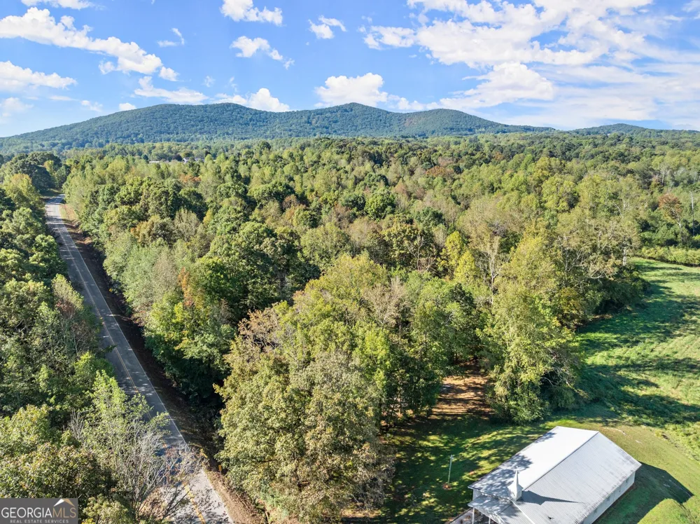 0 Ray Palmer RD Cleveland, GA 30528