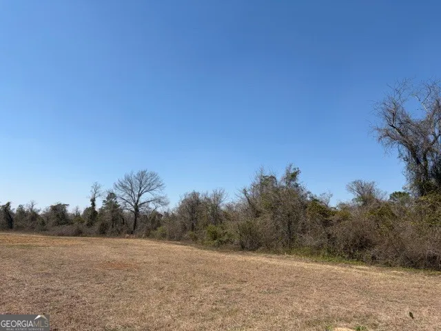 461 Currington RD Mauk, GA 31058