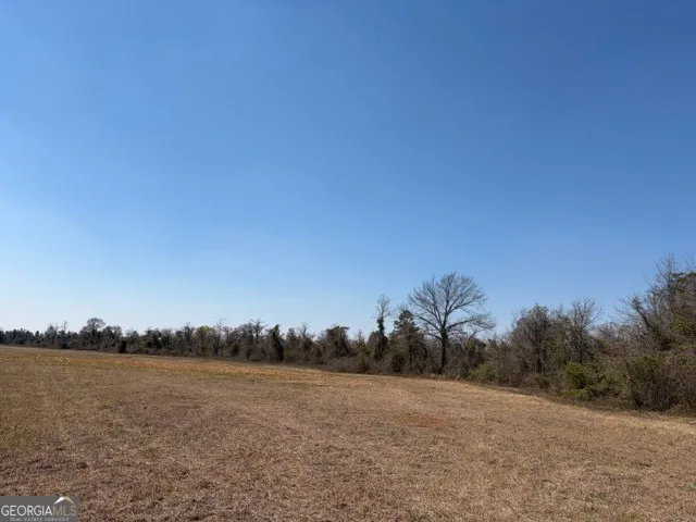 461 Currington RD Mauk, GA 31058