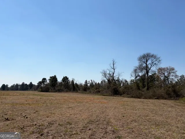 461 Currington RD Mauk, GA 31058